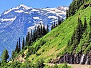 photo thumbnail #10