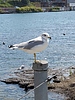 photo thumbnail #13