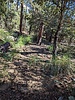 photo thumbnail #12