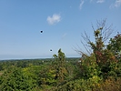 photo thumbnail #12
