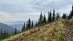 photo thumbnail #10