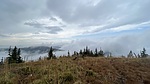 photo thumbnail #15