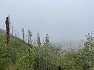photo thumbnail #13