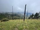 photo thumbnail #15