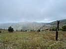 recent photo