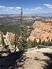 photo thumbnail #8