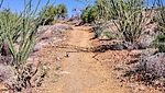 photo thumbnail #4