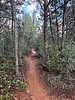 photo thumbnail #6
