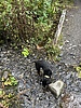 photo thumbnail #2
