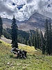 photo thumbnail #4