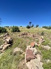 2022-09-17 :1: Parker Abby Lasso loop :: joebartels