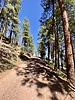 photo thumbnail #14