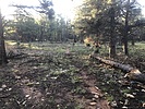 recent photo