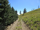 photo thumbnail #8