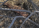 photo thumbnail #9