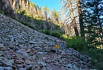 photo thumbnail #8