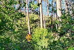 photo thumbnail #7