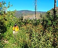 photo thumbnail #6