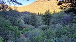 photo thumbnail #2