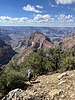 photo thumbnail #10