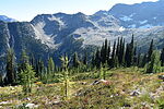 photo thumbnail #14