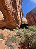 photo thumbnail #9