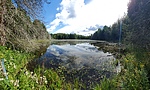 photo thumbnail #11