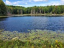 photo thumbnail #5