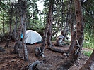 photo thumbnail #8