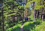 photo thumbnail #10