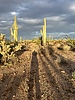 photo thumbnail #4