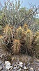 2022-09-21 :1: Flat Rock Trail :: joebartels