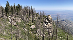 photo thumbnail #6