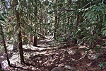 photo thumbnail #13
