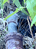 photo thumbnail #6