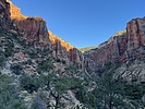 photo thumbnail #7