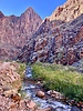 photo thumbnail #13