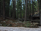 photo thumbnail #12
