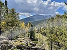 photo thumbnail #7