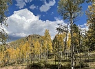 photo thumbnail #9