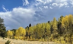 photo thumbnail #12