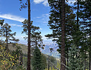 photo thumbnail #7