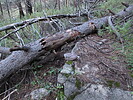 photo thumbnail #10