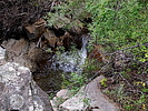 photo thumbnail #8
