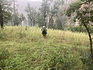 photo thumbnail #2