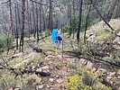 photo thumbnail #3