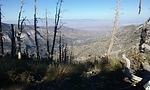 photo thumbnail #1