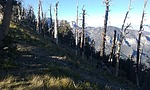 photo thumbnail #3