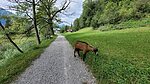 photo thumbnail #11