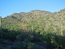 photo thumbnail #3